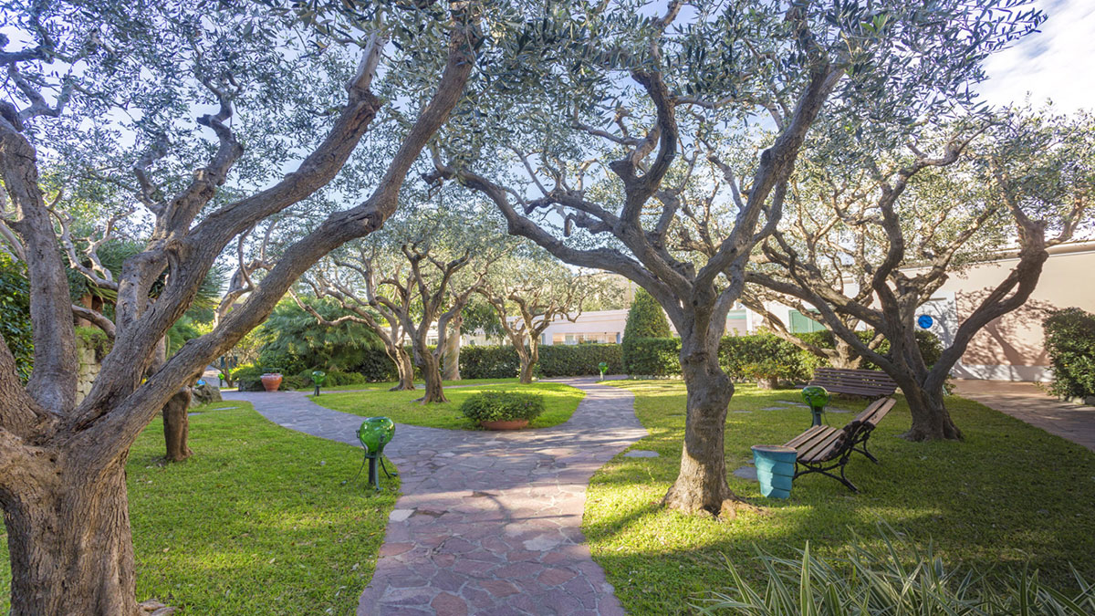 hotel-terme-tritone-forio-ischia-resort-giardino